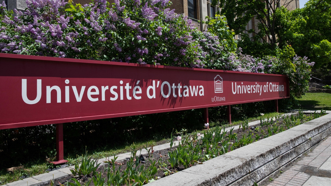 UOttawa Lockdown: Heavy Police Presence at University of Ottawa Amid Active Incident
